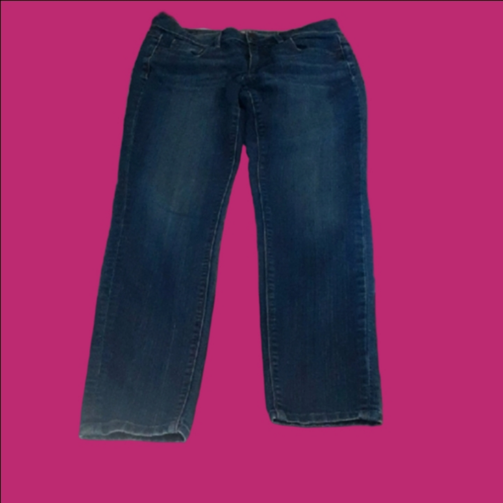 Classic Blue Denim Jeans, 2P Modern Skinny, Ann Taylor Loft